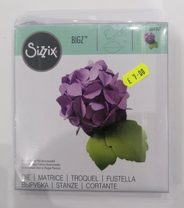 Sizzle Big die Hydrangea