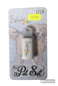 Splash Crafts USB The pet set